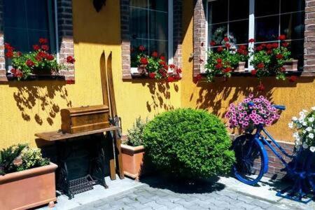 Atrium 24 Suite Sighişoara Eksteriør bilde